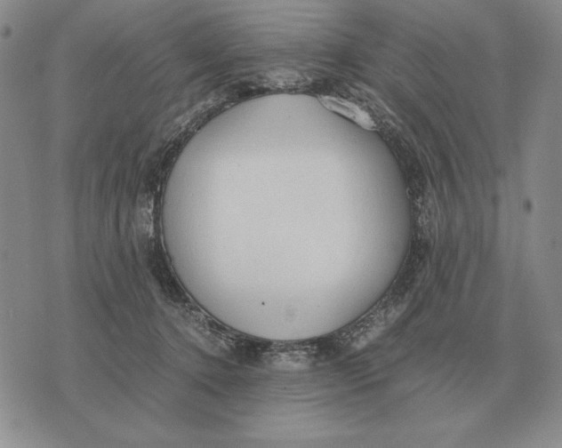 X0000071830368200607211808