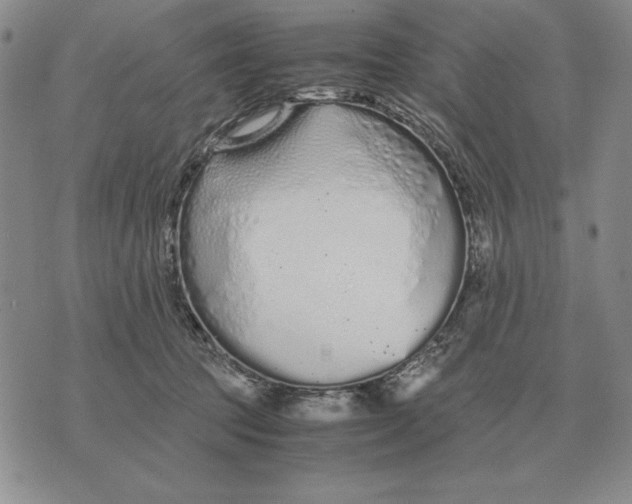 X0000071830369200607211808