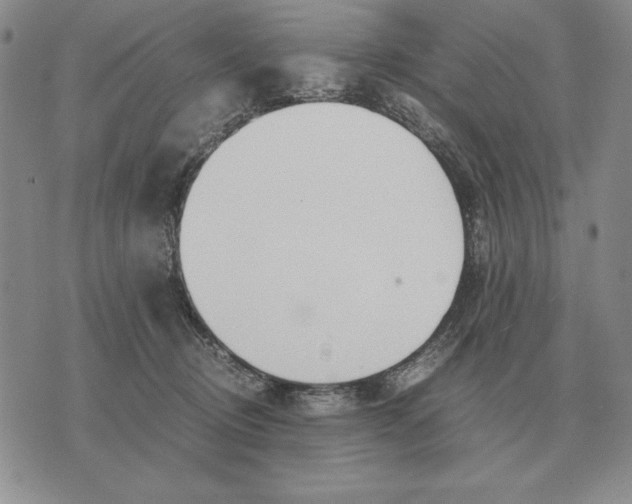 X0000071830370200607211808