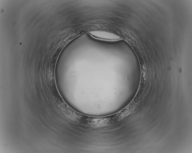 X0000071830371200607211808