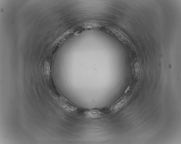 X0000071830372200607211808