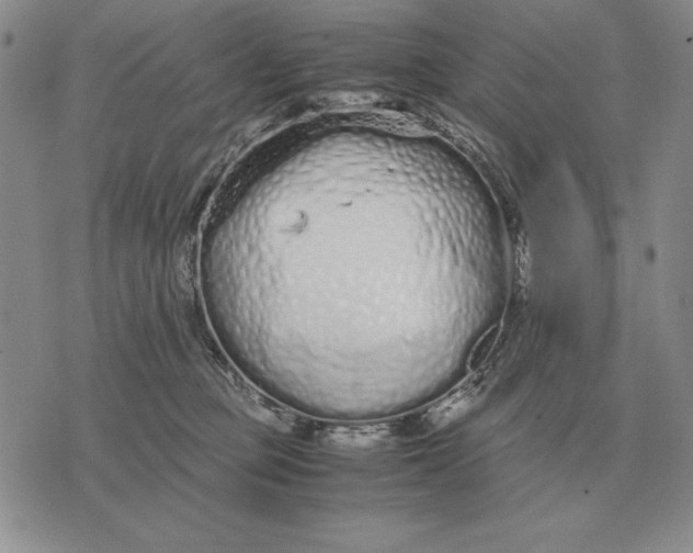 X0000071830373200607211808