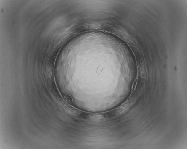 X0000071830374200607211808