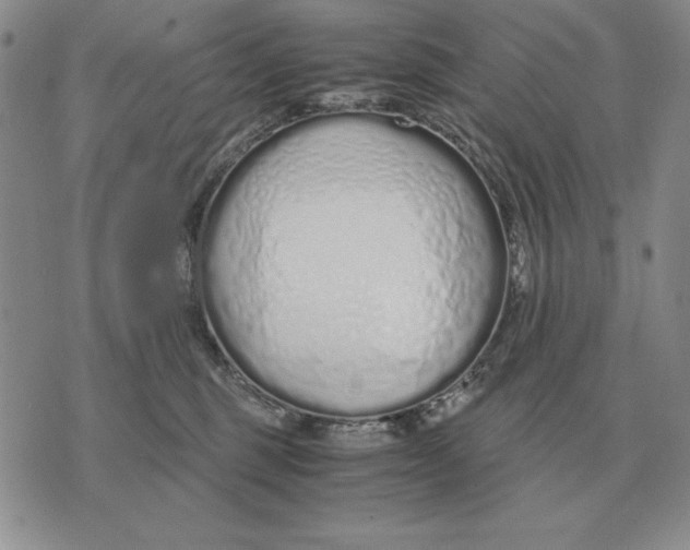 X0000071830375200607211808