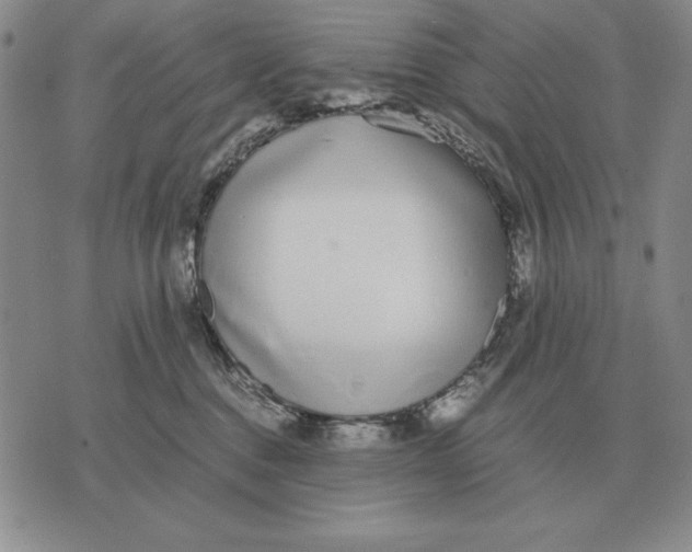 X0000071830376200607211808