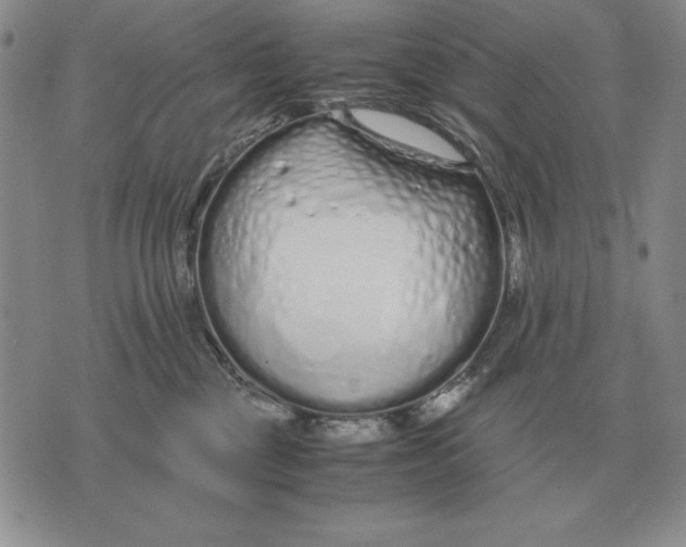 X0000071830377200607211808