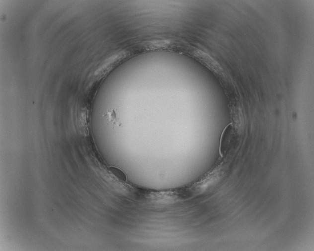 X0000071830378200607211808