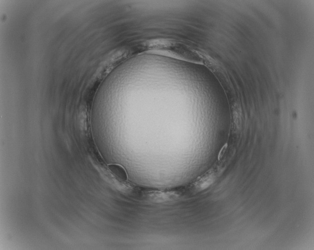 X0000071830379200607211808