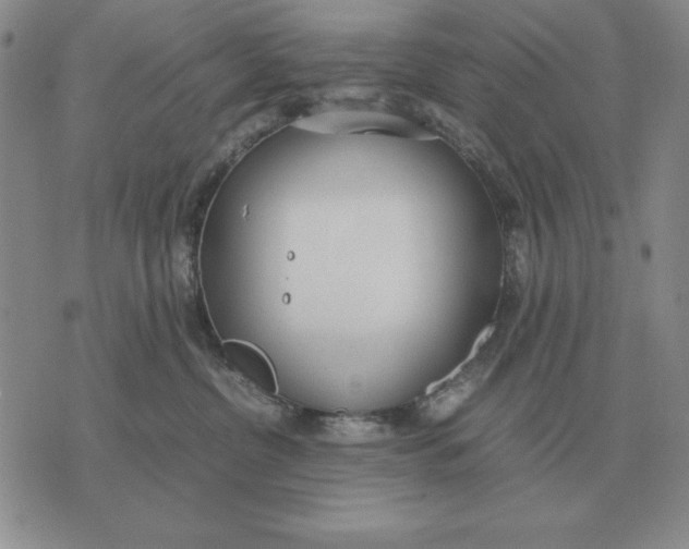 X0000071830380200607211808