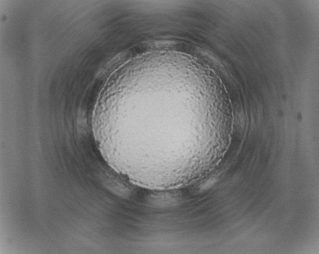 X0000071830381200607211808