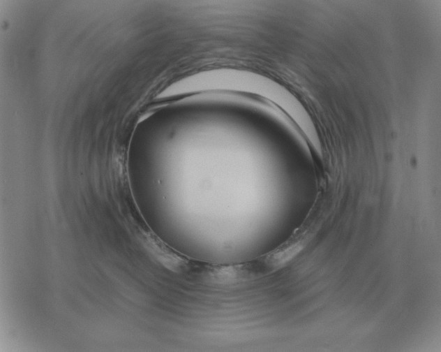 X0000071830382200607211808