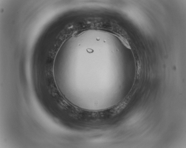 X0000071830383200607211808