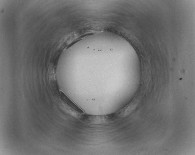 X0000071830384200607211808