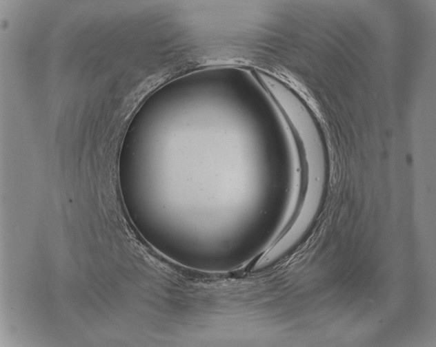 X0000071830385200607211807