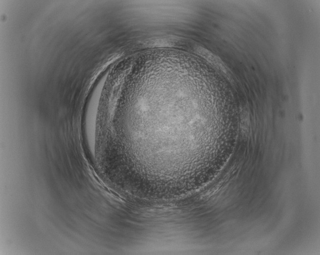 X0000071830386200607211807