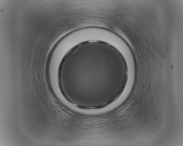 X0000071830387200607211807