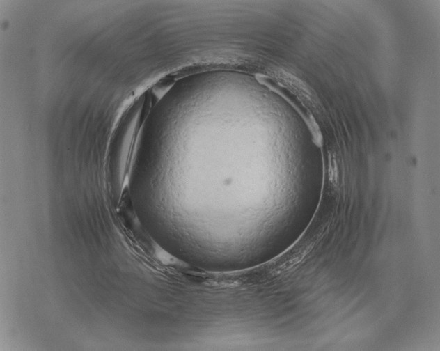 X0000071830388200607211807