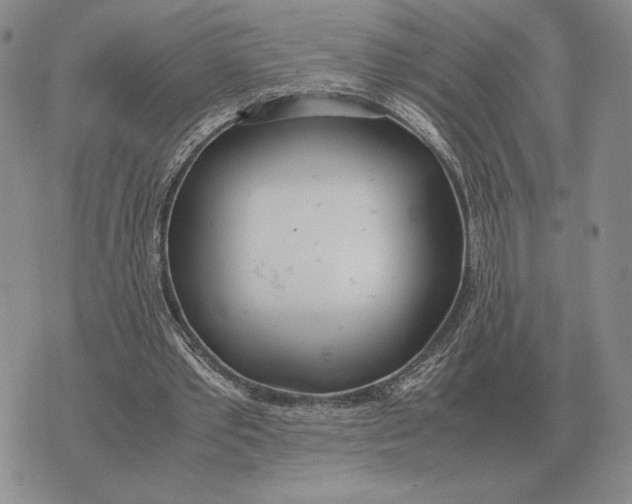 X0000071830389200607211807