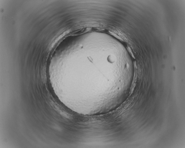 X0000071830390200607211807