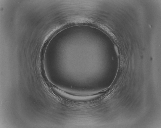 X0000071830391200607211807