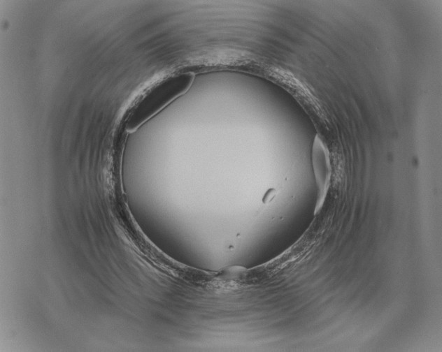 X0000071830392200607211807