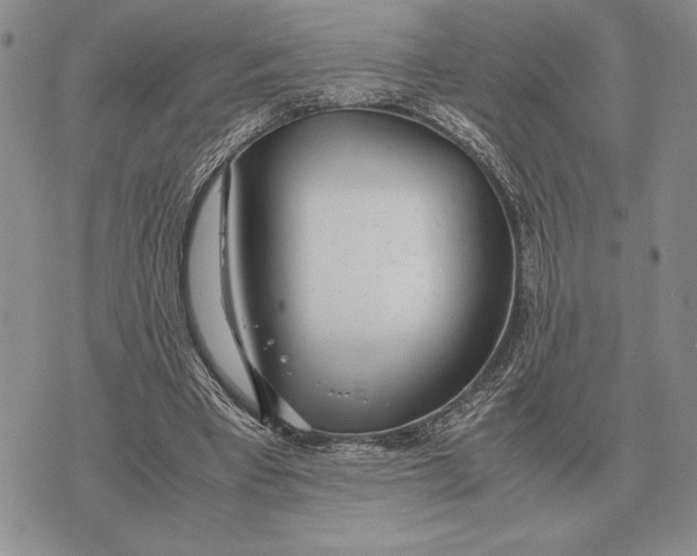 X0000071830393200607211807