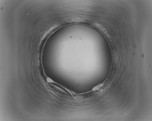 X0000071830395200607211807