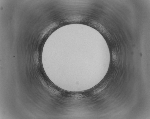 X0000071830396200607211807