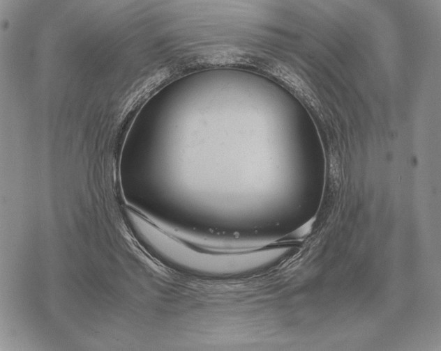 X0000071830397200607211807