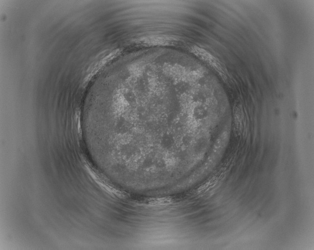 X0000071830398200607211807