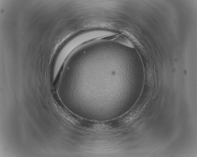 X0000071830399200607211807