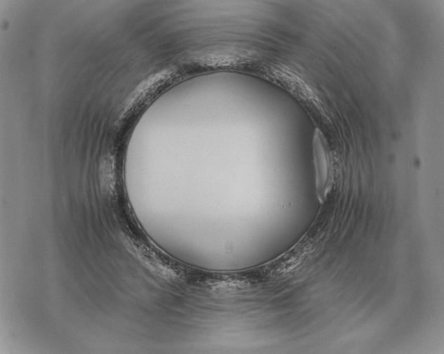 X0000071830400200607211807