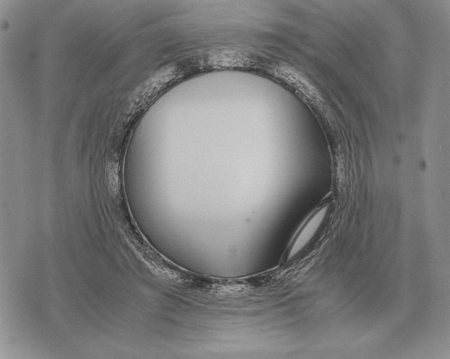 X0000071830401200607211807