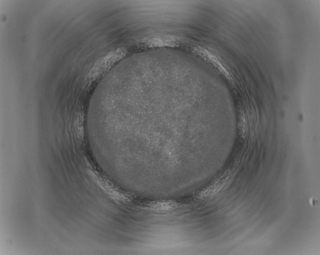 X0000071830402200607211807