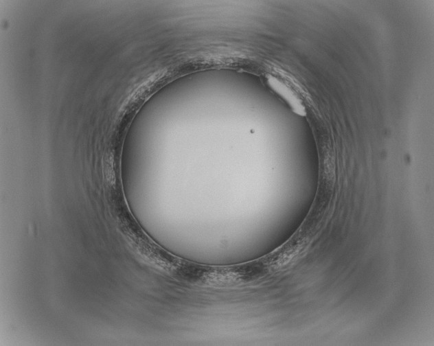 X0000071830403200607211807