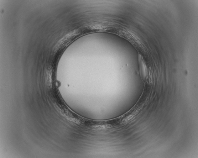 X0000071830404200607211807