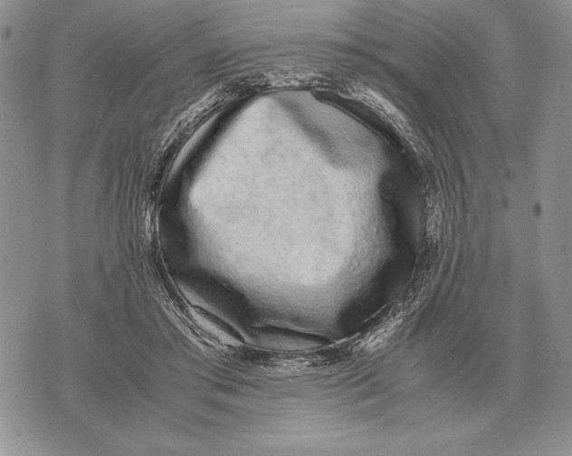 X0000071830405200607211807