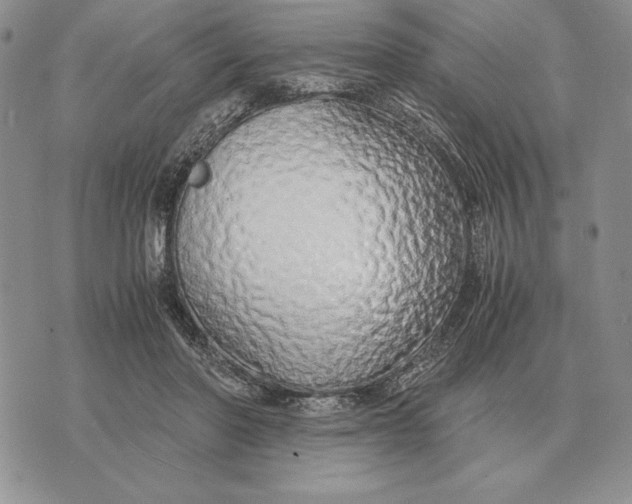 X0000071830406200607211807