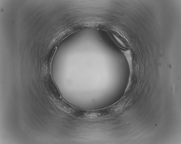 X0000071830407200607211807