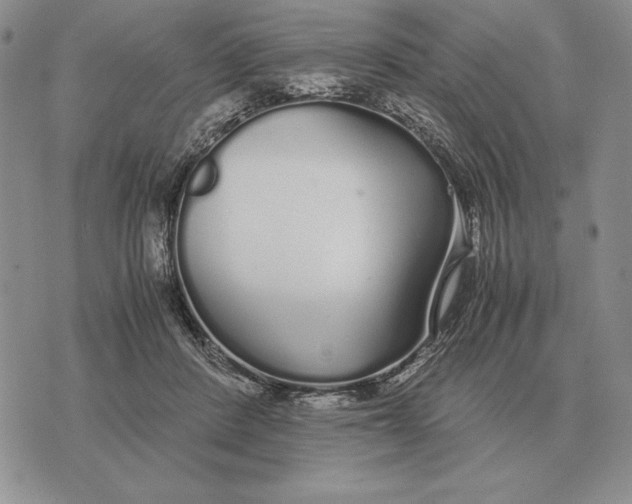 X0000071830408200607211807