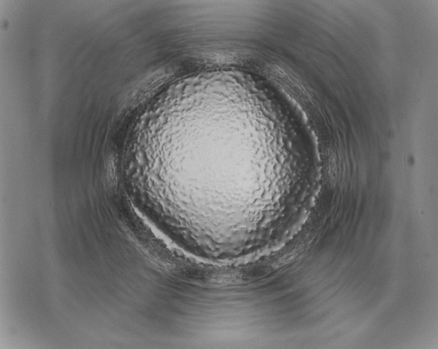 X0000071830410200607211807