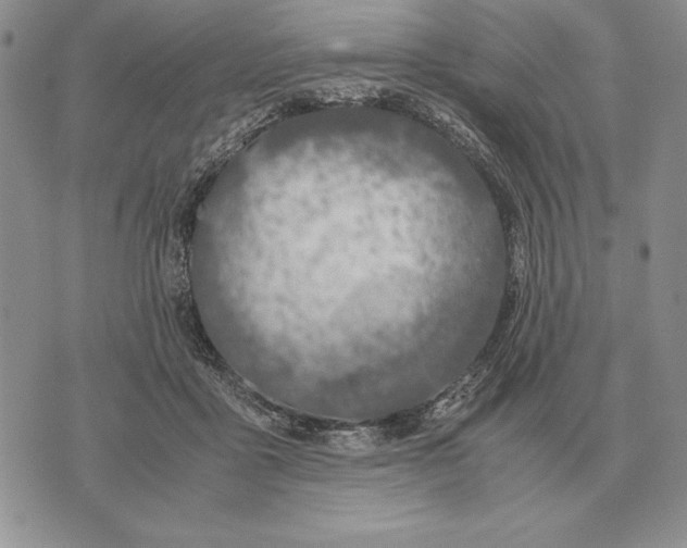 X0000071830411200607211807