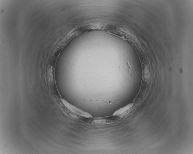 X0000071830413200607211807