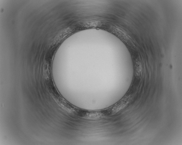 X0000071830414200607211807