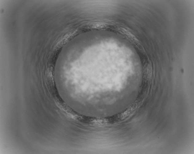 X0000071830415200607211807