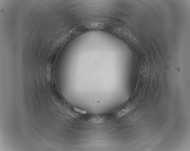 X0000071830416200607211807