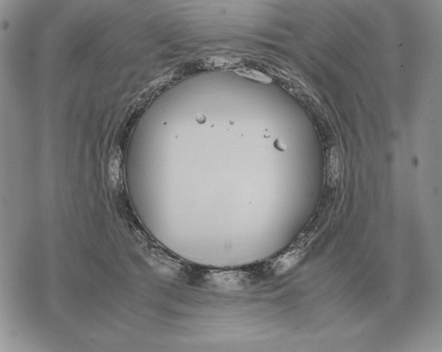 X0000071830417200607211806