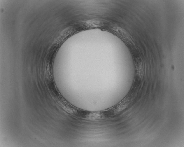 X0000071830418200607211806