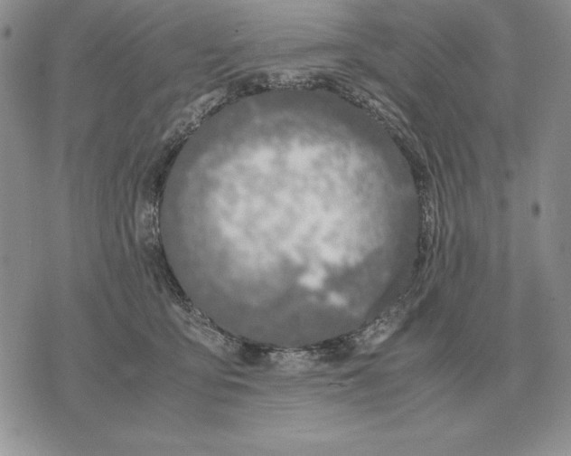 X0000071830419200607211806