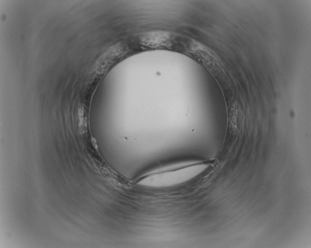 X0000071830420200607211806